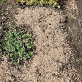 Beet1Vorbereitet 2026-05-19 10.37.